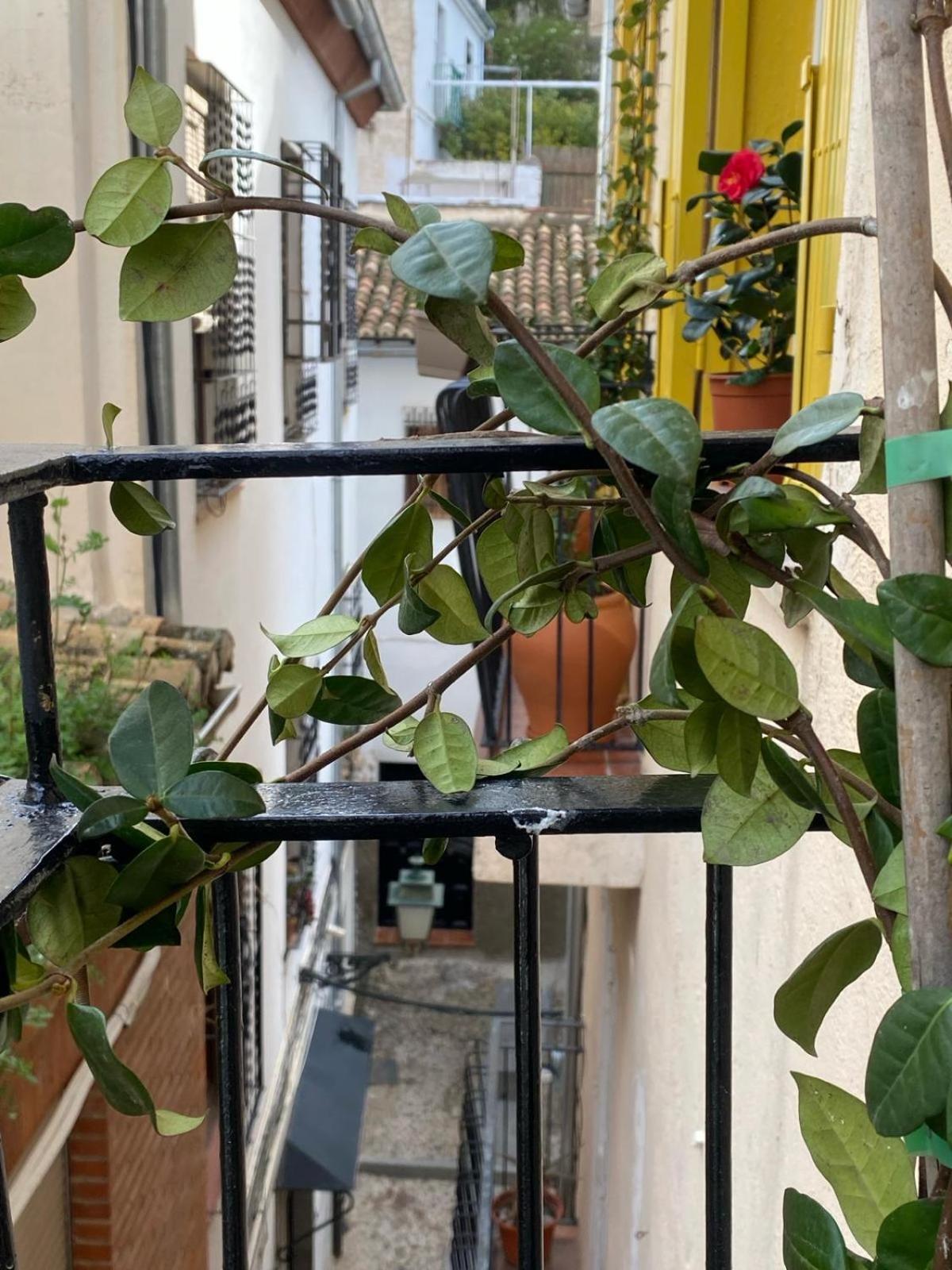 Apartamento Home Stagging New Life Granada Eksteriør bilde